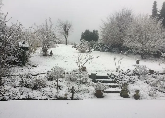 Vendégház Schoenenborn